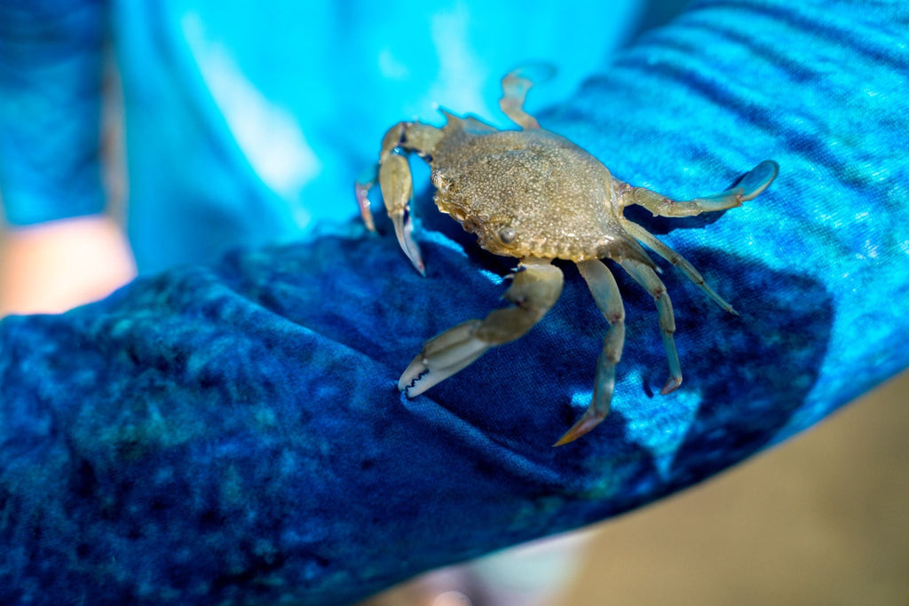 MEN'S SPORT TEC | BLUE CRAB | HOODED - Jersey Discs