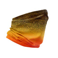 BROOK TROUT | SHIELD - Jersey Discs
